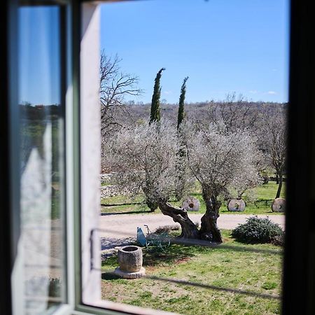 Winery Cuj Bed & Breakfast Vilanija Exterior photo