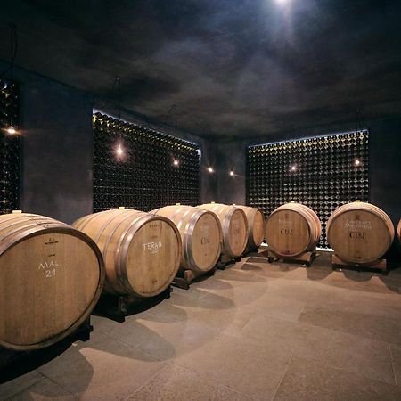 Winery Cuj Bed & Breakfast Vilanija Exterior photo