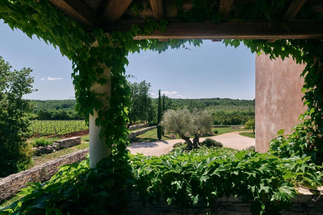 Winery Cuj Bed & Breakfast Vilanija Exterior photo